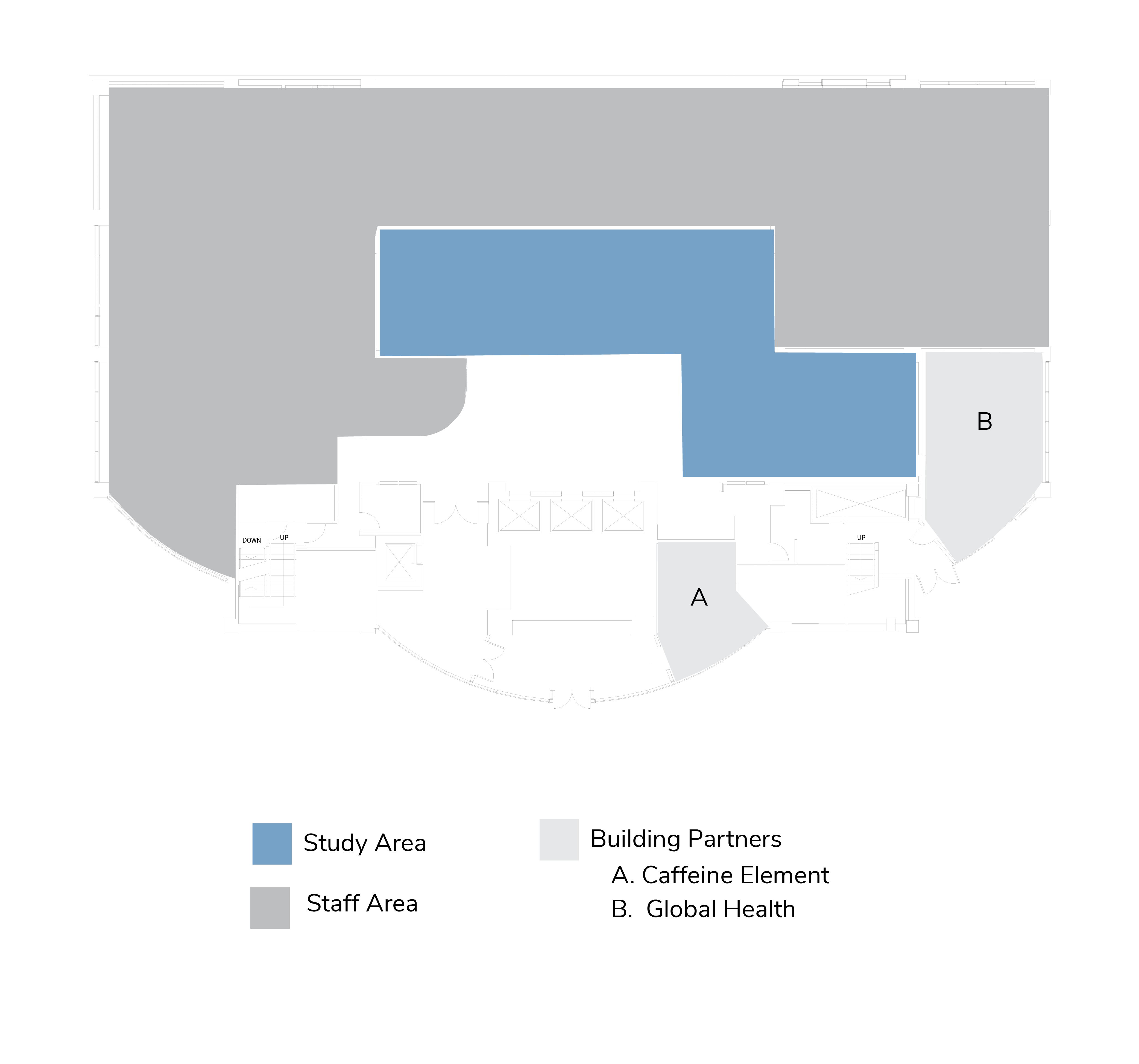 Health Sciences Library First Floor showing study area, staff area, Caffeine Element and Global Health locations.