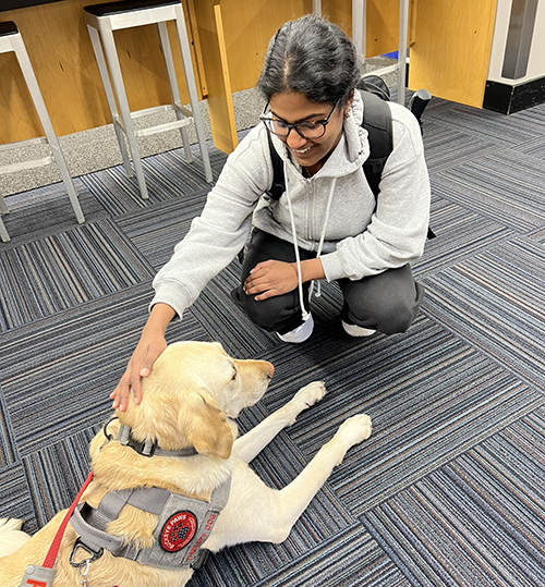 student kneeling down to pet a therapy dog