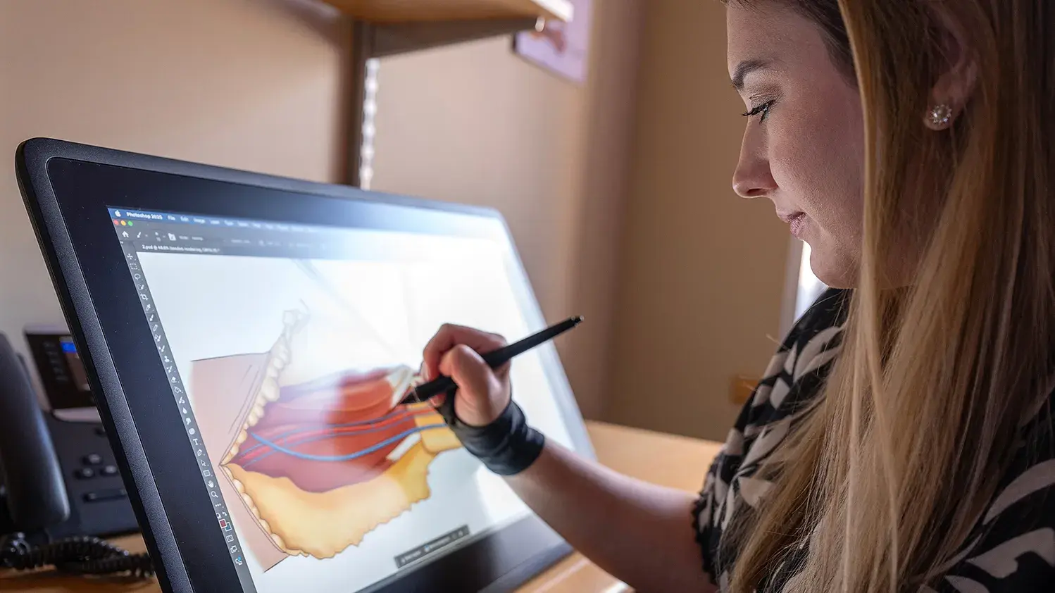 Woman drawing on an digital drawing tablet an anatomical illustration.