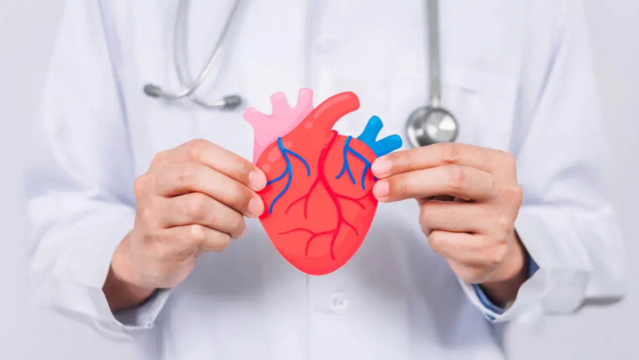 doctor delicately holding an illustration of a heart